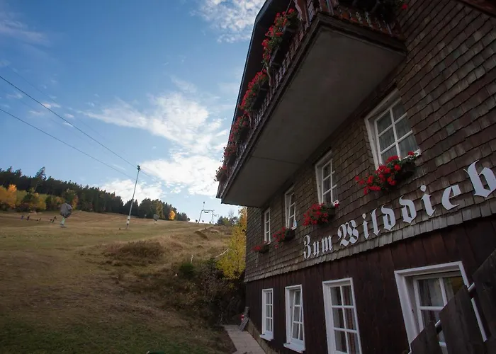 Berggasthof Zum Wilddieb Willingen 